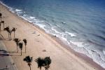 Palm Trees, Beach, Sand, Surf, Ocean, Boardwalk, COFV04P15_18