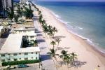 Motels, Hotels, Palm Trees, Beach, Sand, Surf, Boardwalk, Atlantic Ocean, COFV04P15_19
