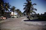 Palm Trees, street, Fort Meyers Beach, 1950s