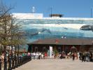 Wyland Whale, Water Fountain, aquatics, Atlanta