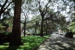Park, shadow, trees, sidewalk, Historic Savannah, COGV01P12_04