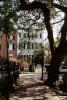 Building, Trees, Ivy, Historic Savannah, COGV01P12_11