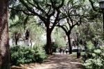 General James Oglethorpe Statue, walkway, hanging moss, trees, Chippewa Square, Historic Savannah, COGV01P13_03
