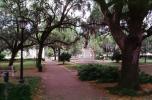 General James Oglethorpe Statue, Bronze Sculpture, walkway, hanging moss, trees, Chippewa Square, Historic Savannah, COGV02P01_13
