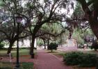 General James Oglethorpe Statue, Bronze Sculpture, walkway, hanging moss, trees, Chippewa Square, Historic Savannah, COGV02P01_13B