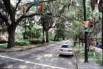 Park, Trees, Sidewalk, cars, Abercorn Street, hanging moss, Historic Savannah, COGV02P02_03