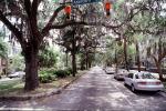 Park, Trees, Sidewalk, cars, Abercorn Street, hanging moss, Historic Savannah, COGV02P02_04