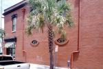 red wall, palm tree, brick building, Savannah, COGV02P02_17