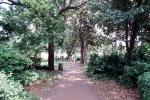 Path, trees, Wright Square, Historic Savannah, COGV02P03_11