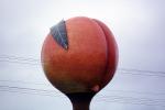 Huge Peach, Atlanta, COGV02P07_15