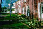 Home, House, garden, flower, Franklin Lakes, 1950s, COJV01P02_12.1737
