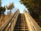 Stairs, Steps, Staircase, Henlopen State Park, COLD01_046