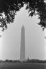 Washington Monument, CONPCD3348_010