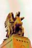 WingedHorses on Memorial Bridge, Sculptures, Statues, Pegasus, CONPCD3348_017B