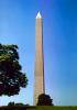 Washington Monument in Daylight, CONV01P01_02.1737