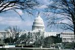 United States Capitol, CONV01P01_17