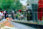 Reflecting Rose, Vietnam Veterans Memorial
