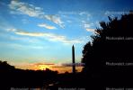 Washington Monument, CONV01P15_03.1738