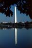 Washington Monument, CONV02P03_01
