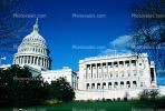 United States Capitol, CONV02P07_13