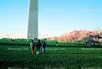 Washington Monument, Cherry Blossom Trees, CONV02P09_10