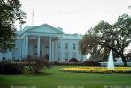 White House Water Fountain, lawn, garden, trees, flowers, Aquatics