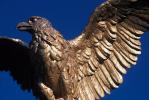 Golden Eagle, CONV03P03_10