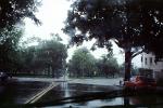Rain, Rainy, wet, trees, street, inclement weather