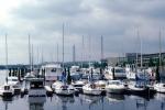 Harbor, docks, Potomac River, CONV04P15_13