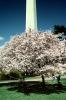 Washington Monument, CONV05P04_09