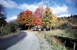 fall colors, Autumn, Trees, Vegetation, Flora, Road, Home, House, Fence, COPV01P10_07