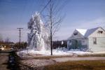 Strange Icy Tree, Home, House, Single Family Dwelling Unit, Feasterville, 1962, 1960s, COPV02P07_18
