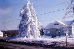 Strange Icy Tree, Home, House, Single Family Dwelling Unit, Feasterville, 1962, 1960s, COPV02P07_19