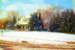 House and Trees in the Snow, Havertown, 1963, 1960s