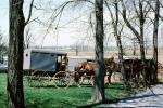 Amish Horse and Buggy, Amish country, COPV02P09_09