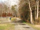 dirt road, forest, trees, CORD01_045
