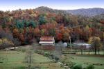 Barn, Forest, Woodlands, Autumn Colors, Appalachia, near Fontana, CORV01P02_09