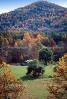 Forest, Woodlands, Bryson City, Appalachia, autumn
