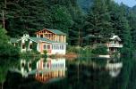 reflection, lake, evergreen trees, pine, lakefront