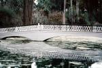 Footbridge, reflection, swamp, Magnolia Plantation, Charleston, Thomas Drayton, wetlands, COSV01P03_19