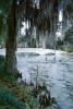 Footbridge, reflection, swamp, Magnolia Plantation, Charleston, Thomas Drayton, wetlands