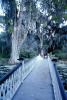 Footbridge, reflection, swamp, Magnolia Plantation, Charleston, Thomas Drayton, wetlands, COSV01P04_04