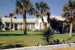 palm tree, home, house, Building, housing, Myrtle Beach, Ocean Boulevard, Palm Trees, COSV01P10_03