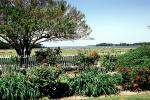 Oak Grove, Eastern Shore, garden