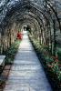Arbor at Governor's Palace, garden, walkway, path, straight, tunnel