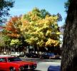 Glouster, Pontiac, autumn, Cars, automobile, vehicles, 1960s