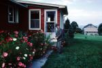 Door, Windows, Home, House, Front Lawn, bushes, Man, Summer, COVV03P08_02