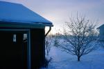 Home, House, Snowy tree, icy, car, garage, Winter, COVV03P09_04