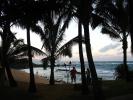 Beach, Palm Trees, Pacific Ocean