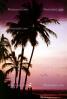 palm tree, sunset, pacific ocean, CPHV01P05_17